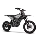 Altinsu Dirk Bike