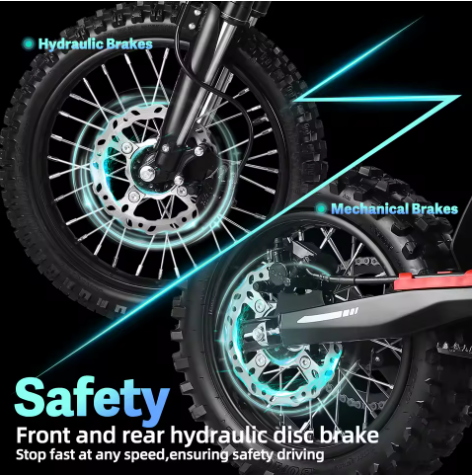 Brushless Motor dirt bike